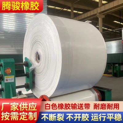 白色橡胶尼龙输送带传送带工业级耐高温耐磨流水线环形橡 胶输送带图3