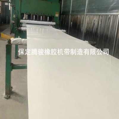 白色橡胶尼龙输送带传送带工业级耐高温耐磨流水线环形橡 胶输送带图2