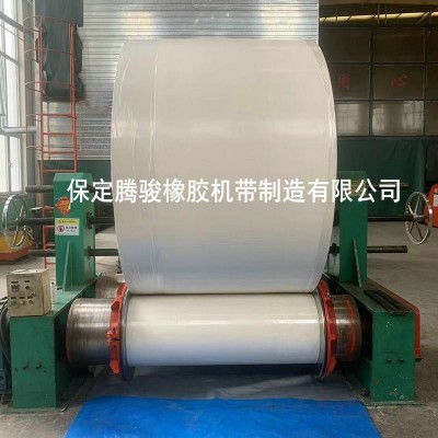 白色橡胶尼龙输送带传送带工业级耐高温耐磨流水线环形橡 胶输送带图5