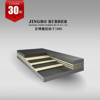 输送带 橡胶输送带 尼龙输送带 聚酯输送带 传送带图5