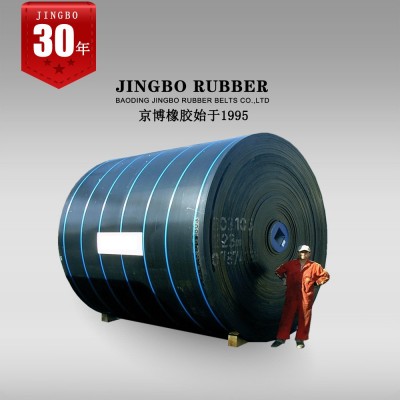 高耐磨强力 尼龙输送带 NN200# 耐磨尼龙传送带图3