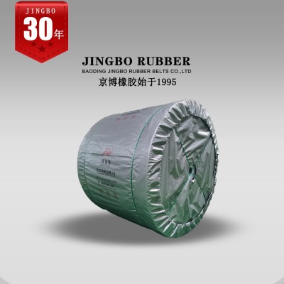 高耐磨强力 尼龙输送带 NN200# 耐磨尼龙传送带图5