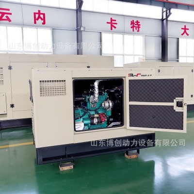 静音型柴油发电机现货供应 20/30/60/100/200KW潍坊发电机组图4