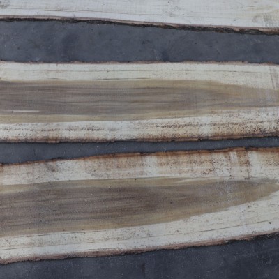 新型便携式龙门锯 移动卧式锯 简易龙门锯 柴油带锯机 电动型图5