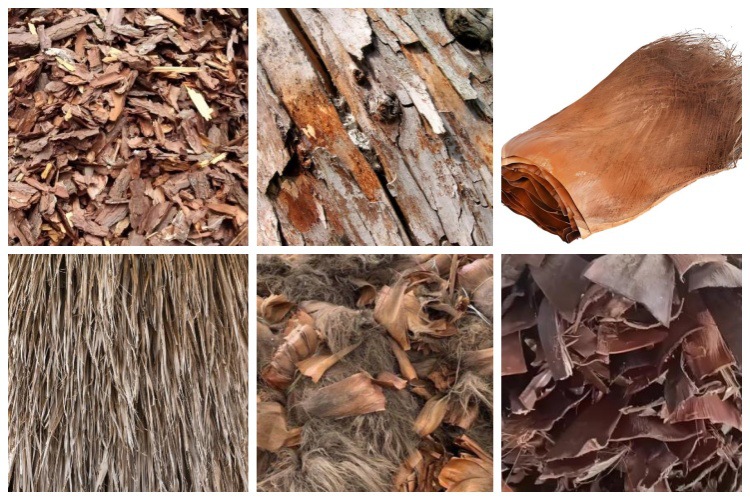 棕树皮棕榈皮棕榈叶树皮.jpg