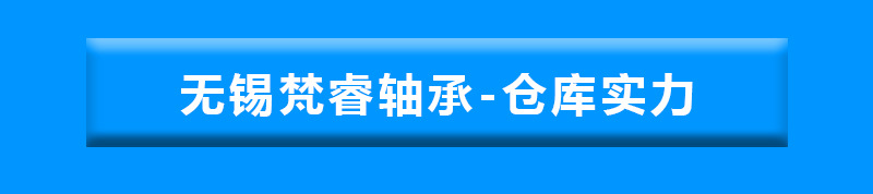 EZO轴承4.jpg