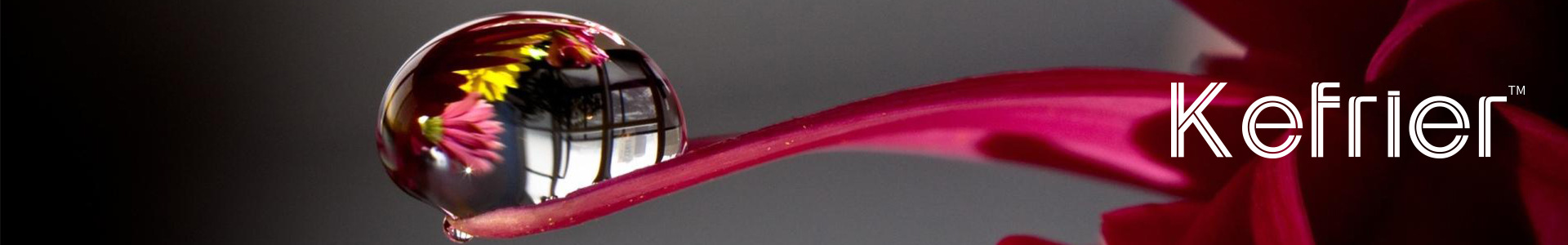 kefrier 紫色露水