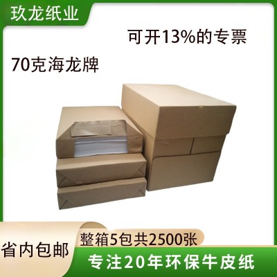 玖龙工厂海龙牌多功能复印纸办公室打印纸70gA4纸静电500张批发