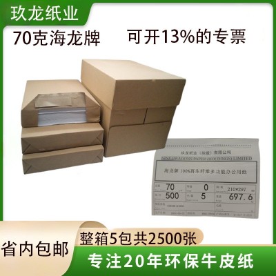 玖龙工厂海龙牌多功能复印纸办公室打印纸70gA4纸静电500张批发图2