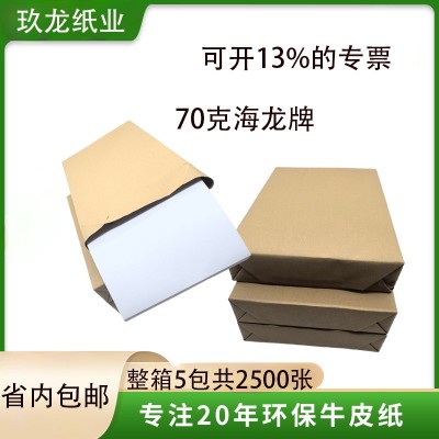 玖龙工厂海龙牌多功能复印纸办公室打印纸70gA4纸静电500张批发图3