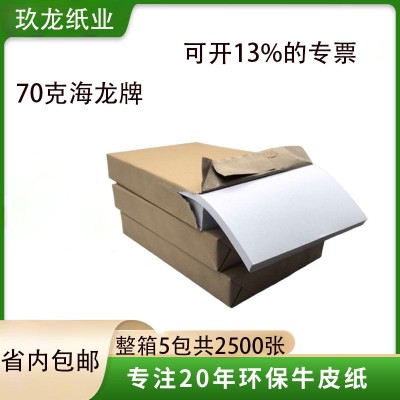 玖龙工厂海龙牌多功能复印纸办公室打印纸70gA4纸静电500张批发图4