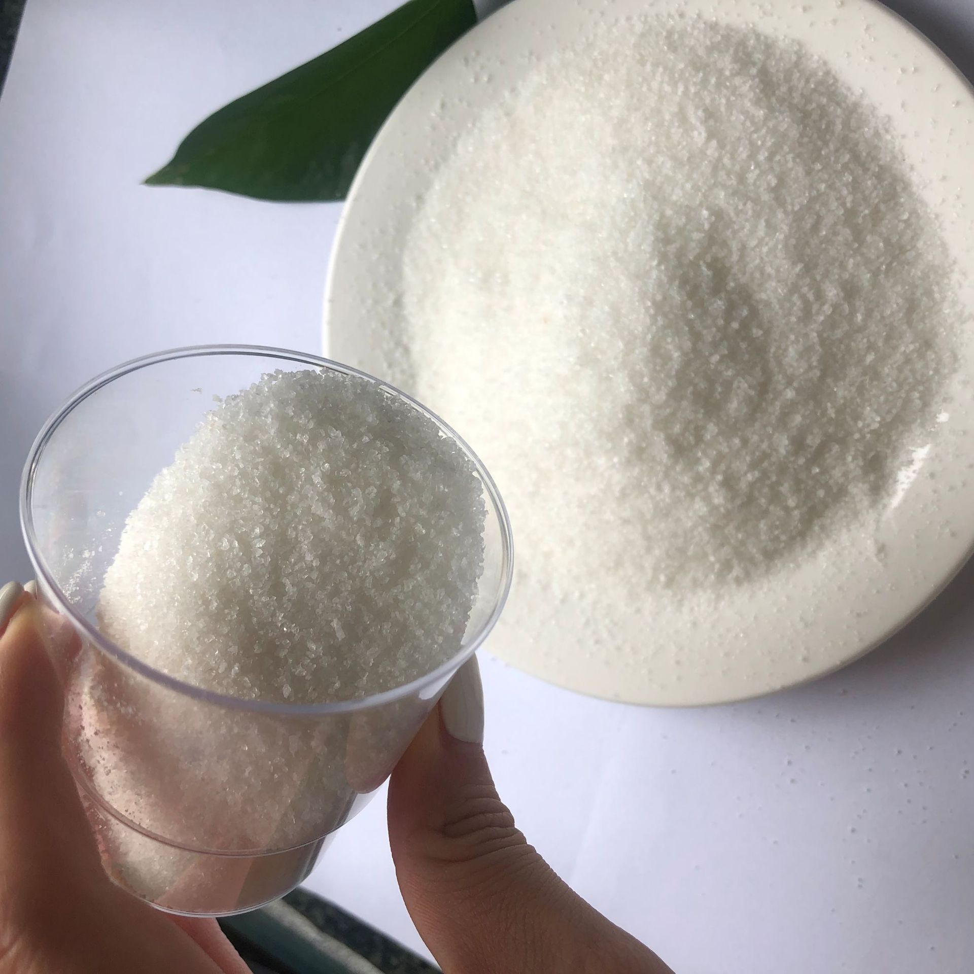 a76eaaea017ed84cd921aa1a9db424