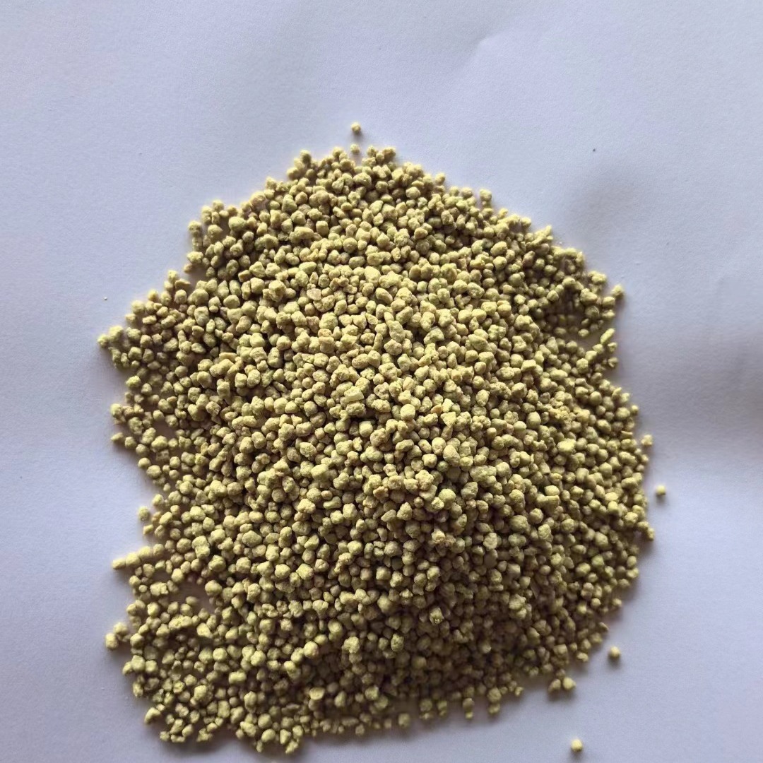 2024-06-17 09:31:36.jpg