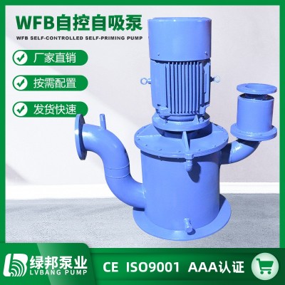 厂家供应WFB自控自吸泵立式不锈钢自吸泵高吸程无密封自吸污水泵
