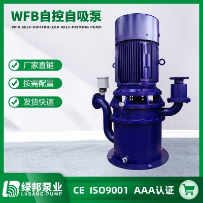 厂家供应WFB自控自吸泵立式不锈钢自吸泵高吸程无密封自吸污水泵图3