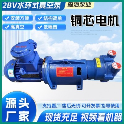 工厂定制2BV水环式真空泵 高水循环工业液环泵大功率高真空抽气泵