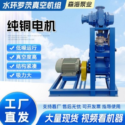 工厂直发水环罗茨真空机组高真空大流量罗茨水环真空泵抽真空设备图2
