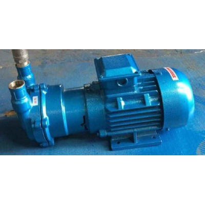 厂家供应真空泵 2BV5110 循环水真空泵批发 微型真空泵图4