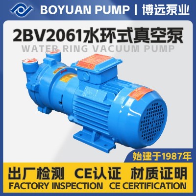 2BV2061水环式真空泵1.45kW机封叶轮304工业级抽真空设备厂家现货