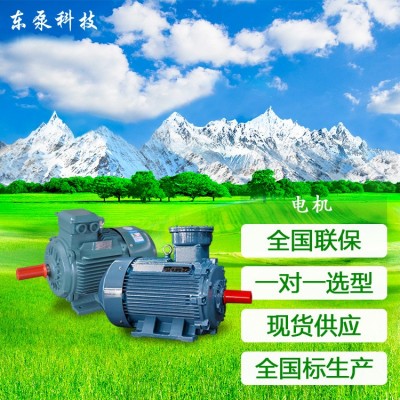 山东东泵高效率三相电机高效电机节能电机YE5电机节能电机包检测图2