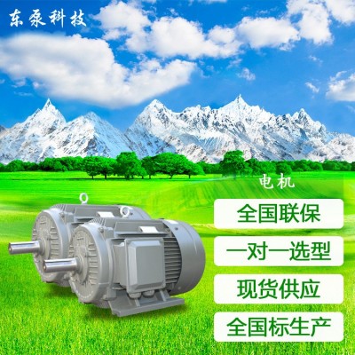 山东东泵高效率三相电机高效电机节能电机YE5电机节能电机包检测图3