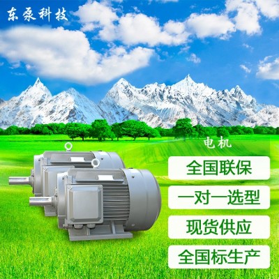 山东东泵高效率三相电机高效电机节能电机YE5电机节能电机包检测图4