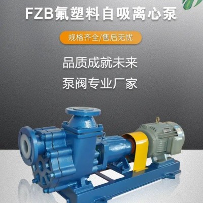 FZB自吸离心泵卧式自吸离心泵氟塑料材质耐磨、耐腐不阻塞图4