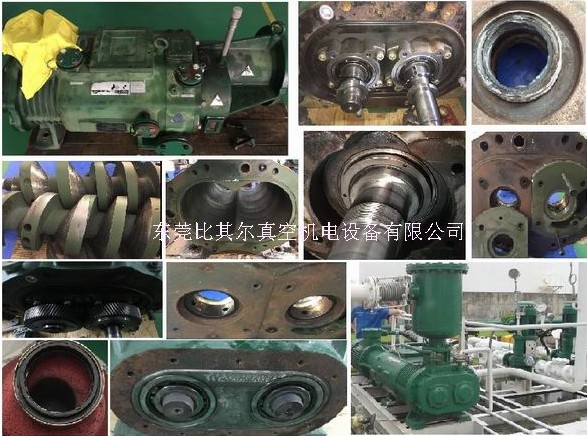 美国泰悉尼干式螺杆泵SDV1500