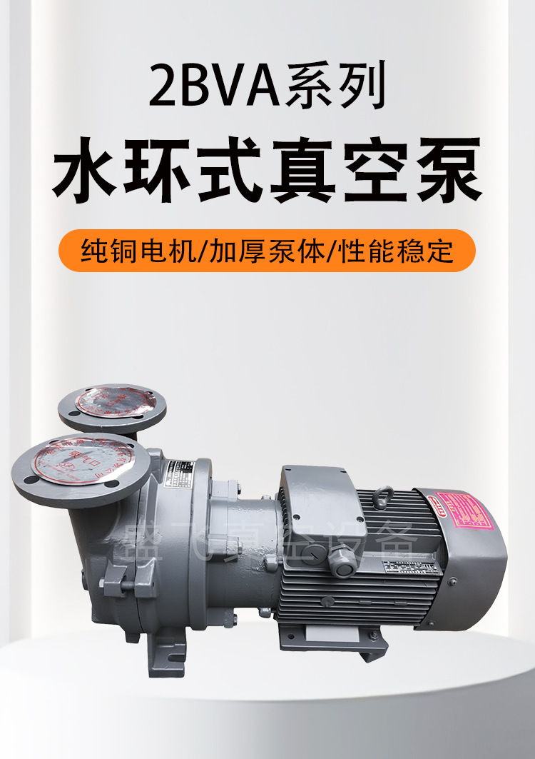 2BVA系列水环真空泵2BVA5121_01