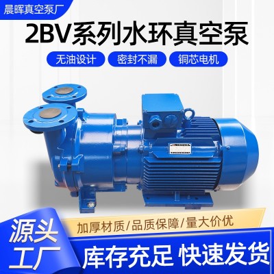 2BV水环式真空泵 不锈钢耐腐蚀防爆真空处理设备 电动水环真空泵