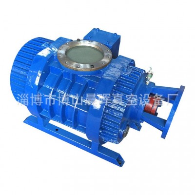 博山厂家批发制造-ZJ.ZJP.ZJC系列罗茨真空泵图2