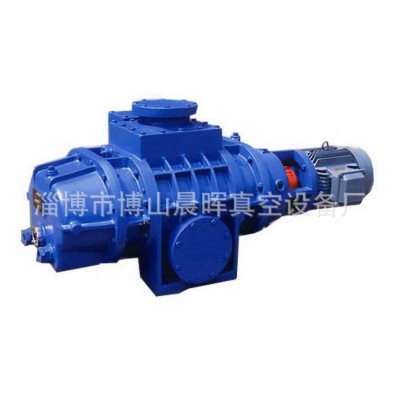 博山厂家批发制造-ZJ.ZJP.ZJC系列罗茨真空泵图5