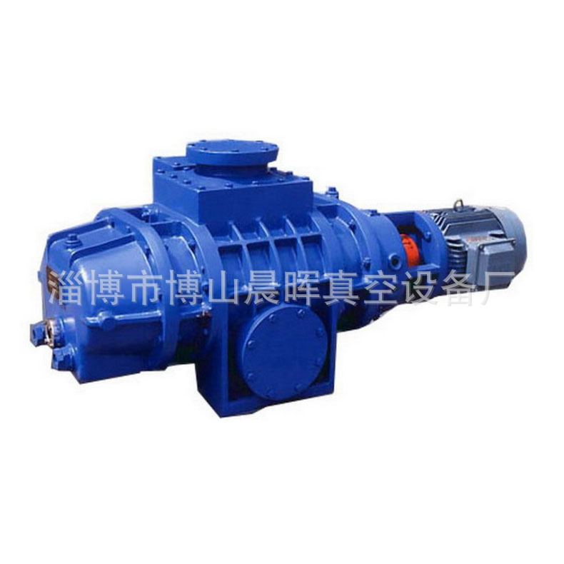 ZJ.ZJP.ZJC系列罗茨真空泵-.jpg