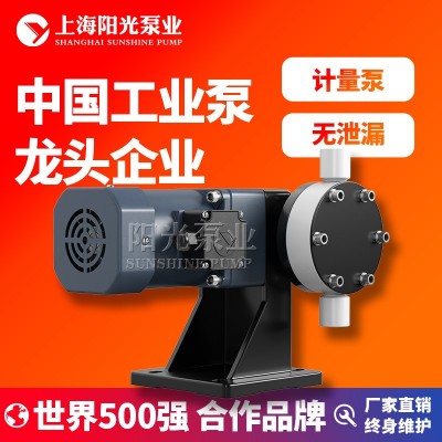 【定制】DJ-L型隔膜式计量泵污水计量泵电动隔膜计量泵上海阳光图5