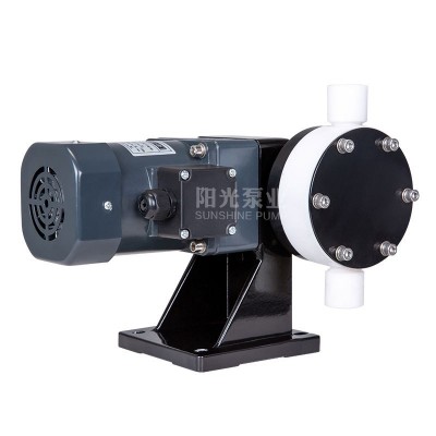 【定制】DJ-L型隔膜式计量泵污水计量泵电动隔膜计量泵上海阳光图4