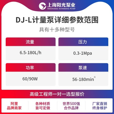 【定制】DJ-L型隔膜式计量泵污水计量泵电动隔膜计量泵上海阳光图2