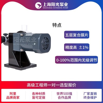 【定制】DJ-L型隔膜式计量泵污水计量泵电动隔膜计量泵上海阳光图3