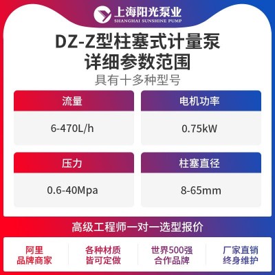 【定做】DJ-Z型机械驱动隔膜式计量泵厂家上海阳光泵业可定做图4