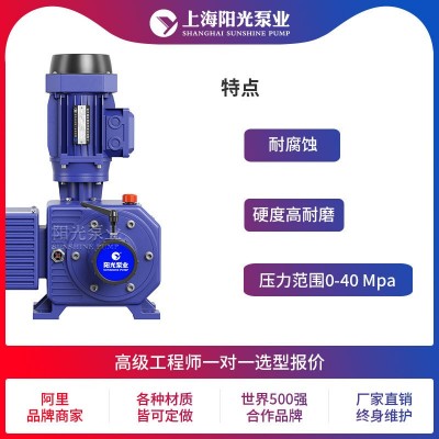 【定做】DJ-Z型机械驱动隔膜式计量泵厂家上海阳光泵业可定做图2