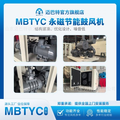 BTYC80 永磁节能鼓风机静音风机污水处理设备节能降噪低噪音图2