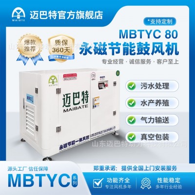 BTYC80 永磁节能鼓风机静音风机污水处理设备节能降噪低噪音图4