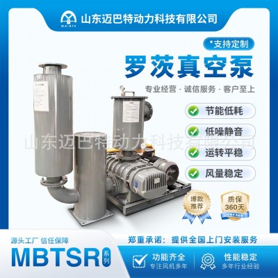 罗茨低噪音负压罗茨真空泵鼓风机三叶鼓风机真空泵工业化工大功率图2