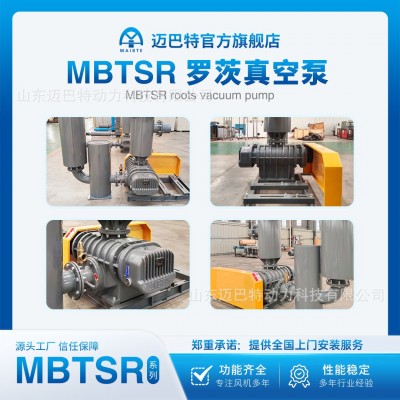 罗茨低噪音负压罗茨真空泵鼓风机三叶鼓风机真空泵工业化工大功率