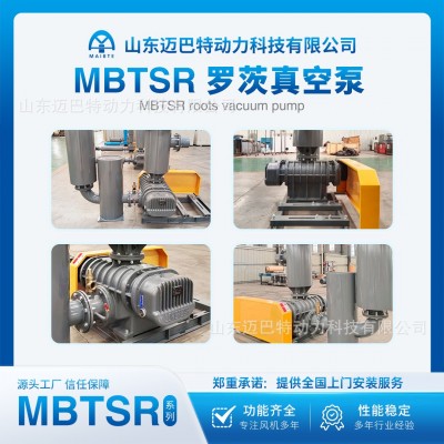 真空泵气力输送高压低压真空上料生活造纸厂三叶罗茨真空泵工业章图2