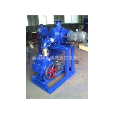 厂家组装ZJP罗茨水环真空机组,JZJ2S罗茨水环机组图2