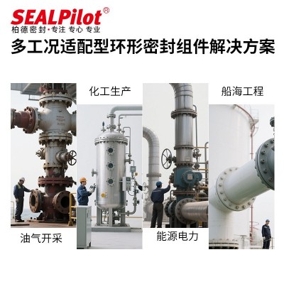 BX型接头金属环垫圈304不锈钢金属密封圈316碳钢特殊合金材质图5