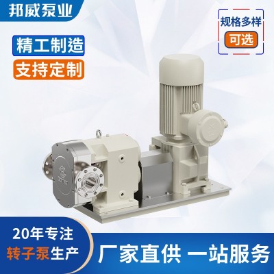 邦威精细化工左进右出浸润剂输出立式凸轮转子泵高扬程自吸图3