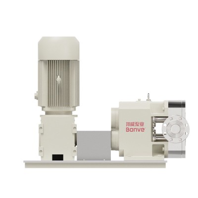 邦威精细化工左进右出浸润剂输出立式凸轮转子泵高扬程自吸图2