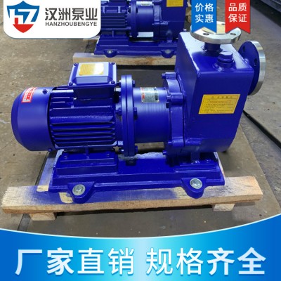 厂家促销ZCQ80-65-160PB自吸磁力泵 强力强磁自吸磁力泵图2