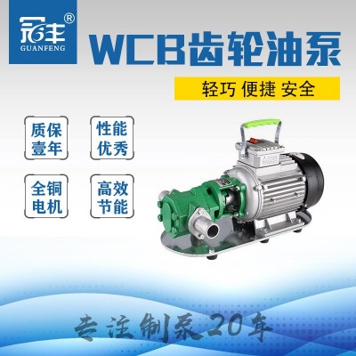电动铸铁220V抽油泵机油泵液压油煤油齿轮自吸式水泵 wcb-50